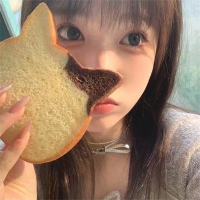 蔷薇处处香